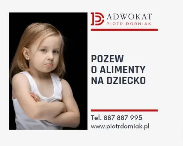 Jak skutecznie argumentować na rozprawie o alimenty co mówić, aby wygrać Jak skutecznie argumentować na rozprawie o alimenty co mówić, aby wygrać