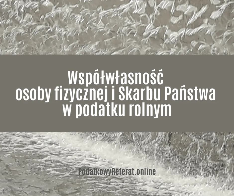 Czy skarb państwa jest osobą prawną? Zrozum jego prawa i obowiązki Czy skarb państwa jest osobą prawną? Zrozum jego prawa i obowiązki