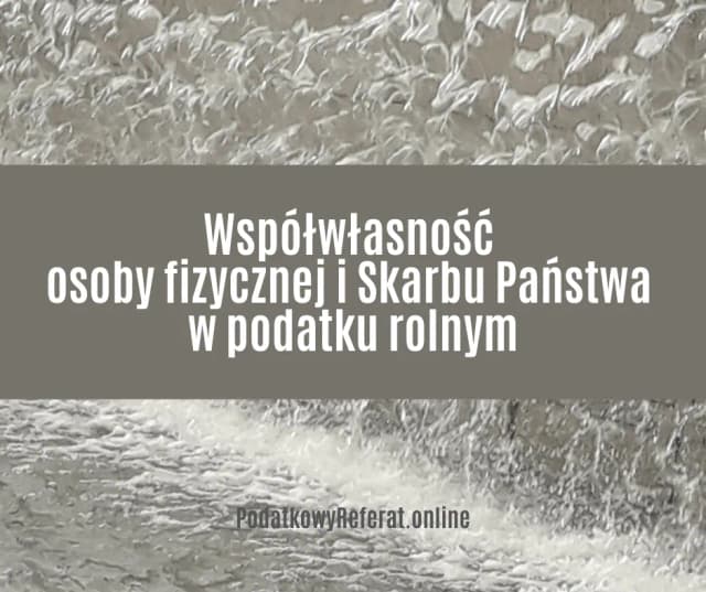 Czy skarb państwa jest osobą prawną? Zrozum jego prawa i obowiązki Czy skarb państwa jest osobą prawną? Zrozum jego prawa i obowiązki