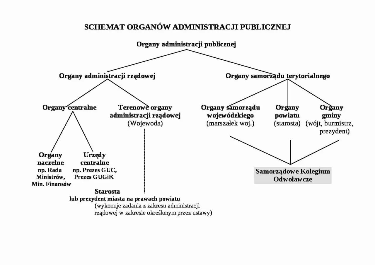 Czy sąd jest organem administracji publicznej? Poznaj fakty Czy sąd jest organem administracji publicznej? Poznaj fakty